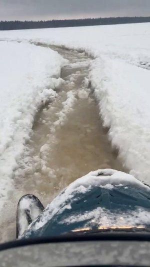 Тайга по наледи