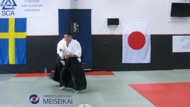 7.Aikido Ai Hanmi Do Barai Ikkyo Omote, Shishiya Sensei Sundsvall 2012