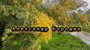 Александр Бородин. Ноктюрн, Маленькая сюита для фортепиано, классическая музыка