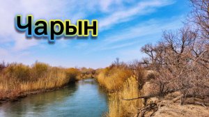 Река Чарын | Ранняя весна | 7-9 марта 2026