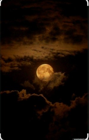 задания от вас