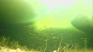 1000011775.mp4Волга гл.2м.14.03.2026г.