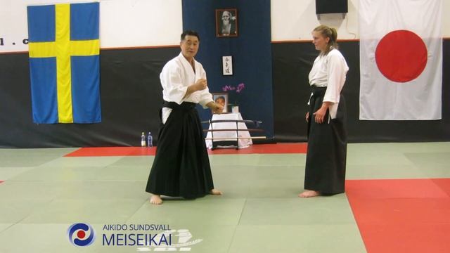 18.Aikido Ai Hanmi Do Barai Tobi Nage, Shishiya Sensei Sundsvall 2012