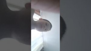 играем в роблокс