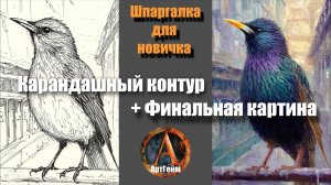 🖌️ РИСУЕМ СКВОРЦА 🎨В помощь начинающим — кисти, основные цвета, карандашный эскиз, готовая работа