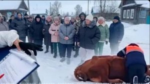 ТРАГЕДИЯ СИБИРИ