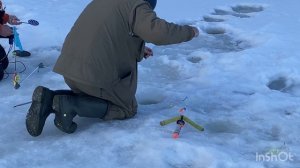 Поимки форели после запуска