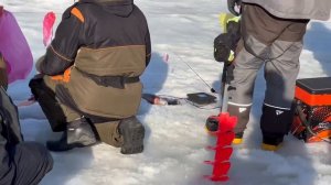 Поимки форели на запуске