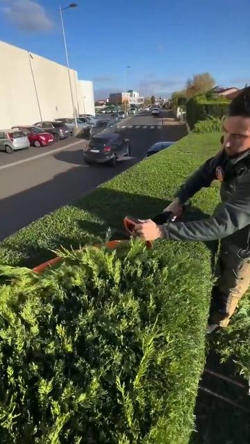 Работа мечты для тех, кто доводит всё до совершенства.