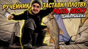 Ручейник заставил плотву рвать леску