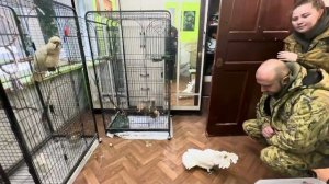 Я думала что мой ласковый Кеша полюбит Алину, но он НАБРОСИЛСЯ на нее и стал рвать обувь!!!