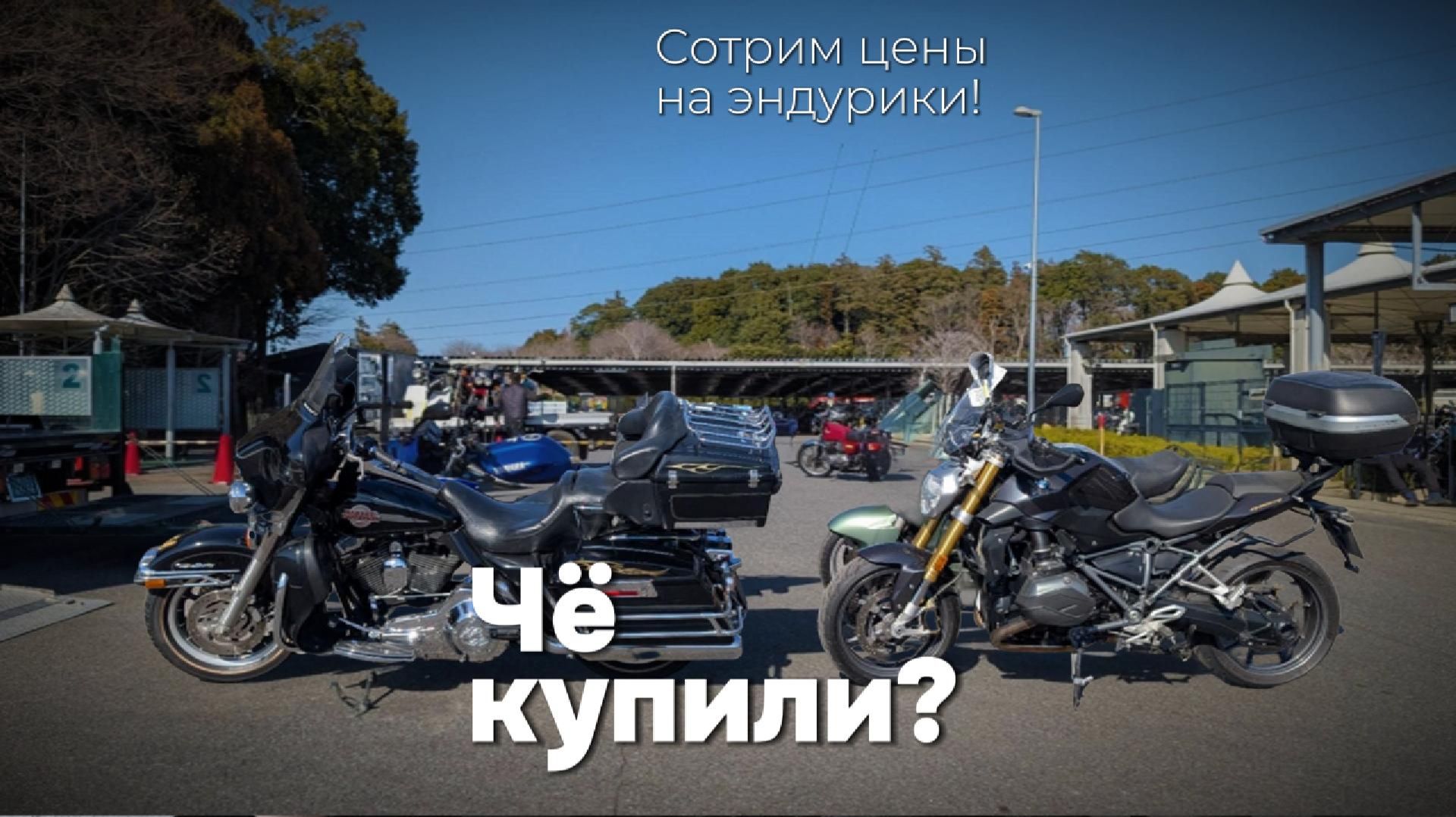 Чё купили? Смотрим цены на эндурики!