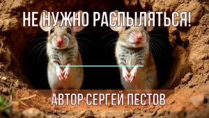 Не нужно распыляться. Автор Сергей Пестов