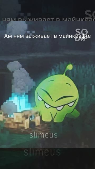 Soloop_20260227081607