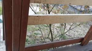 СОЧИ ГОРНОЕ ЛОО ВЕЧЕР 14.03.2026