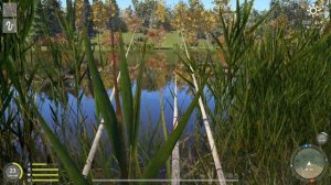 РР4 Лосиное. Разнорыбица.