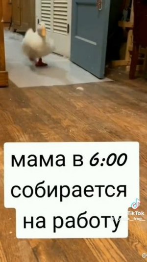 мама собирается на работу