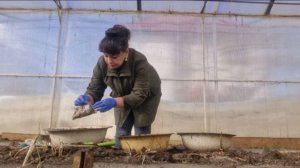 Покупки для дома. Выбираю обновки для себя. Занимаюсь посевом в теплице.