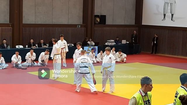 Моё участие в показательном выступлении по тхэквондо в Казани