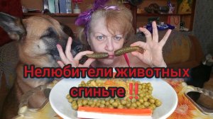 Мукбанг ОБЖОРЧИК Зачётный!ПЛЮША Следит что бы Я Не ПЕРЕЕЛА!