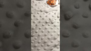 Секретные кошечки! Какая кошечка у твоего имени?☺️