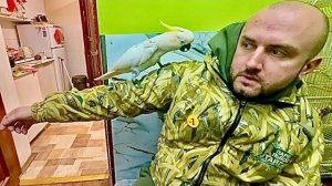 У меня ЛОПНУЛО ТЕРПЕНИЕ, Кира напала на Дениса, Яша с Гошей чуть не подрались за еду, Тайсон орет!!!