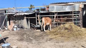 Пробежалась.