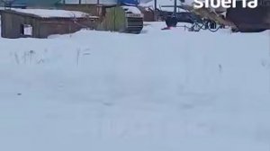 ❗️🐂"Свет у нас отключили ﹤…﹥ хозяев нет, врываются на территорию". Продолжение экспроприации скота