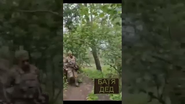 БАТЯ ДЕД - ХРАБРЫЕ ДЕВОЧКИ [get.gt]