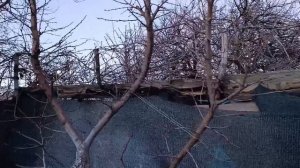 Современный и малоуходный сад