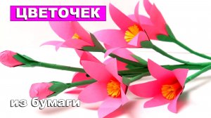 Красивый Цветочек из бумаги 🌸 Бумажные цветы. Поделки для детей