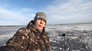 Плотва и Весна