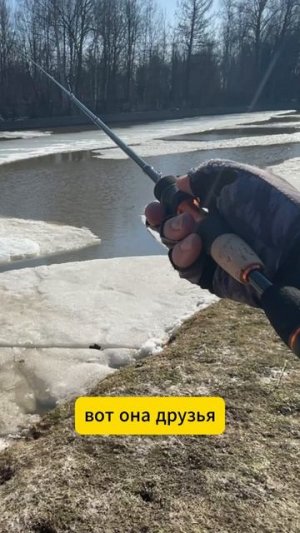 ⚔️Самурайский спиннинг: разложил, сложил и успокоился 🧘♂️🗾 #дзен #японскийстиль #тревел #shorts