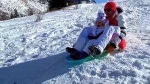 Настя и папа изучают кто такой альпака, и как заботитьс