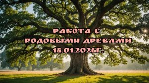 Работа с Родовыми Древами 18.01.2026г