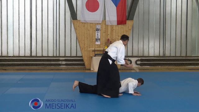 9.Aikido Jo No Tebiki Ai Hanmi Ikkyo Omote, Shishiya Sensei Pilsen Oktober 2018