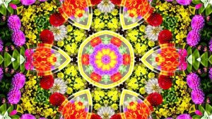 Футажи! Футаж Очаровательные фантастические пейзажи 1!