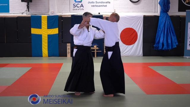18.Aikido Gyaku Hanmi Yonkyo & Gokyo, Shishiya Sensei Sundsvall 2023