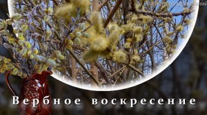 С вербным воскресением, Вербное воскресенье. Красивая песня