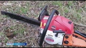 Застройщика оштрафовали на 4 млн рублей за вырубку деревьев в Железноводске