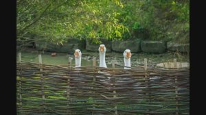 Дуло стоит, а воевать не с кем (сборник анекдотов №506)...