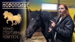 Технологии добра в Конно-спортивном комплексе Новополье. Конный клуб в Ленинградской области