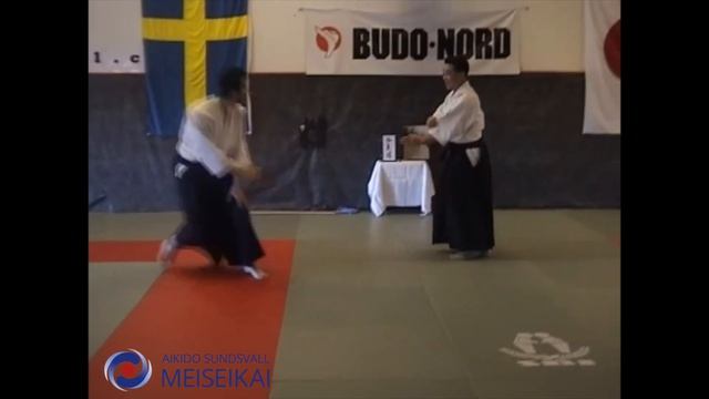 8.Aikido Katadorimenuchi Sankyo Shishiya Sensei, Sundsvall 2004
