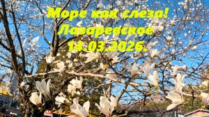 Море как слеза! Через парк на причал! Лазаревское 14.03.2026.