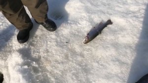 video-output-619264F5-E634-4AB9-B162-98C3F6115C95-1