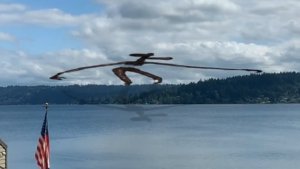 Очень широкий сиреноголовый (видео с канала Paranormal world)