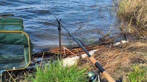 Рыбалка на фидер