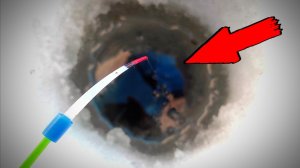 В СТАРОЙ ЛУНКЕ ТВОРИТСЯ ТАКОЕ! Опустил дробину и ОНО ВЗЯЛО! Это лещ? Рыбалка 2026