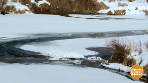 Большая река начинается с ручейка... Доброе утро. Фрагмент выпуска от 14.03.2026