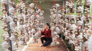 Создаю чистую зону для выращивания грибов. Подвесная грибная ферма своими руками.Серия 53. Ли Фук Ви